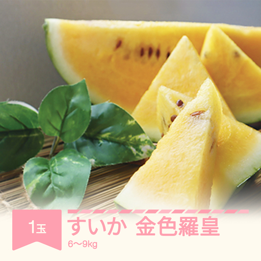 [先行予約]すいか 金色羅皇 1玉入り (6~9kg) 令和9年産 2027年産 mm-sukrx1