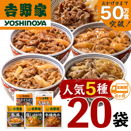 【定期便 ６ヶ月】吉野家 人気５種２０袋バラエティセット吉野家
