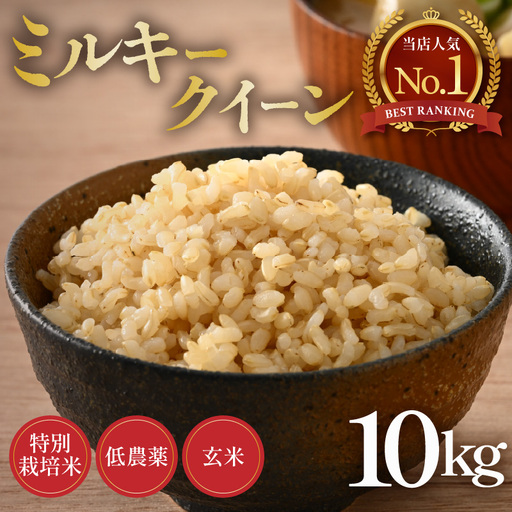 【令和8年産】ミルキークイーン 玄米 10kg 特別栽培米 低農薬 《食味値85点以上》 / 福井県 あわら市 北陸 米 お米 人気 [aw032-b007]