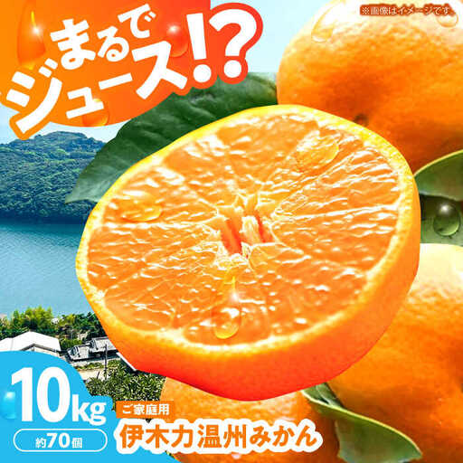 伊木力みかん10kg 温州みかん 10kg AHBD001