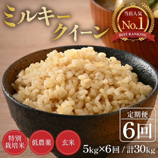 【令和8年産】《定期便6回》5kg×6回 30kg 特別栽培米 ミルキークイーン 玄米 低農薬《食味値85点以上》 / 福井県 あわら市 北陸 米 お米 人気 [aw032-h004]