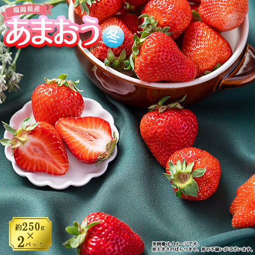 【先行予約】【冬】福岡産あまおう2パック 3V1