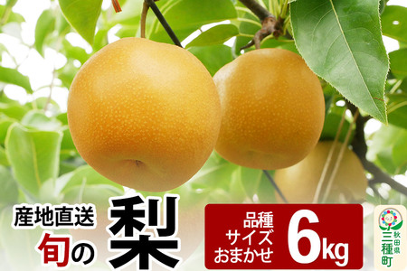 [先行受付]今が旬! 梨 6kg [品種、サイズおまかせ] 産地直送 和梨