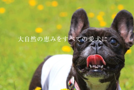 犬のおやつ 小袋5点セット