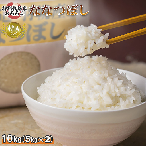 【2025年産】 北海道羽幌産 特別栽培米 ななつぼし10kg （5kg×2セット）【0812402】