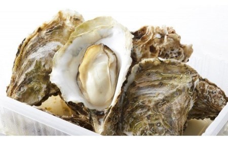 【先行予約】レンジで簡単蒸し牡蠣15個セット【2024年11月後半～4月後半発送】RT482