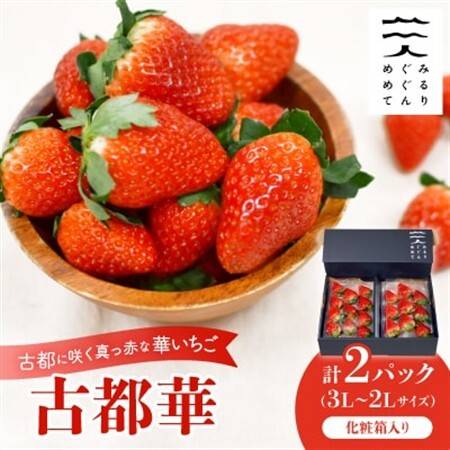 古都に咲く真っ赤な華いちご「古都華」(270g以上/3L〜2Lサイズ/9〜11粒)×2P 化粧箱入り_果物・フルーツ いちご イチゴ 苺_[配送不可地域:離島]