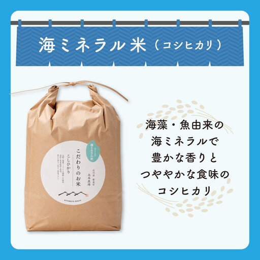 北本農場のお米令和8年度産コシヒカリ精米5kg有機肥料（海ミネラル肥料）で育てたお米