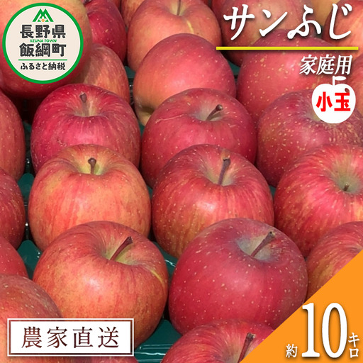 りんご サンふじ 家庭用 ( 小玉 ) 10kg 原山農園 沖縄県への配送不可 2027年1月上旬頃から2027年3月上旬頃まで順次発送予定 令和8年度収穫分 信州 果物 フルーツ リンゴ 林檎 長野 予約 農家直送 長野県 飯綱町 [0620]
