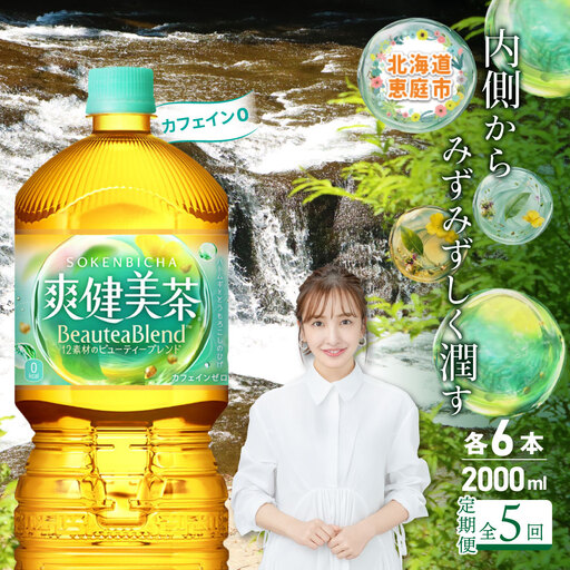 『定期便：全5回』爽健美茶2L×6本【38002102】