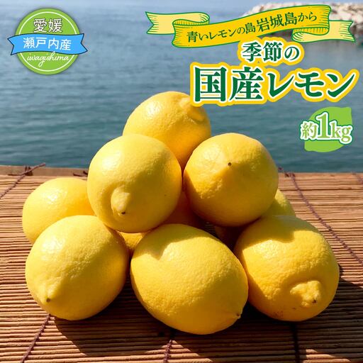レモン 約1kg 青いレモンの島 レモン