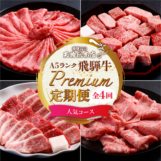 A5飛騨牛 定期便 全4回 約1.5kg ( 300g 以上 × 4ヶ月 ) ( 焼肉 すき焼き しゃぶしゃぶ サイコロステーキ ) | 定期便