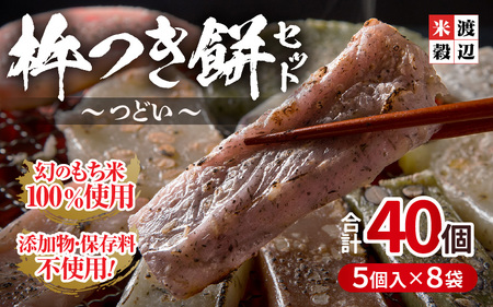たんちょう杵つき餅セット つどい 計40個 2026年11月下旬以降順次発送 餅 丸もち とぼもち [A-2998]