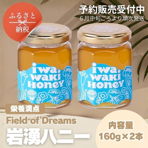 岩湧ハニー 純粋百花はちみつ 160g×2本セット