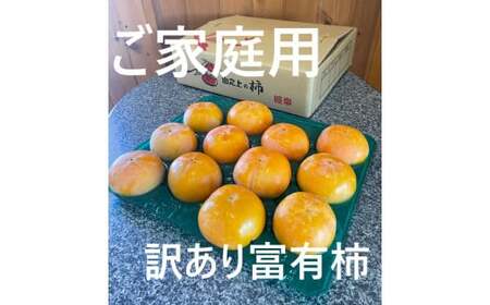 【訳あり】 精華園の家庭用 富有柿 約3.3kg【2026年12月上旬～12月下旬迄発送予定】