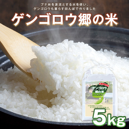 米 新米 2025年産 京丹後産コシヒカリ「ゲンゴロウ郷の米」5kg箱入