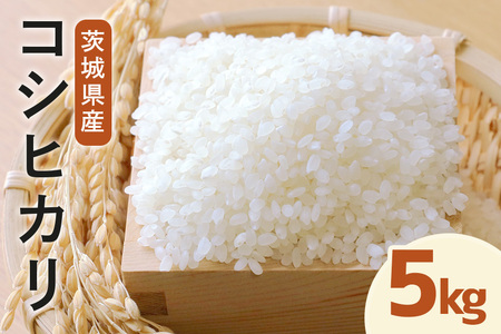 令和8年度産 みねしまふぁーむ 常陸牛農家が育てるコシヒカリ 5kg コシヒカリ 低農薬 低化学肥料 米 発送直前に精米 精米 米 茨城県産 白米 お米 コメ おこめ こめ こしひかり 有機 ブランド 健康 ギフト 贈り物