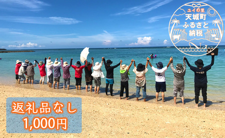 [返礼品なし]天城町 への寄付 (1口: 1,000円 )鹿児島 徳之島 天城町 寄附 応援 支援 寄付のみ 返礼品なし