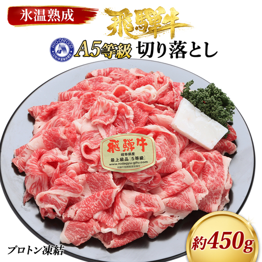 約450g切り落とし 氷温(R)熟成 飛騨牛A5等級 プロトン凍結 [No.518]