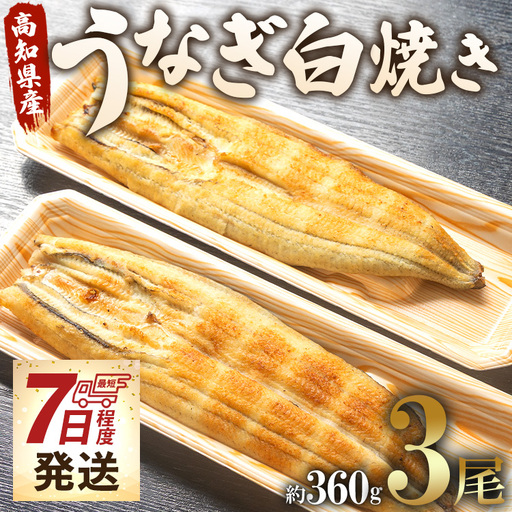 うなぎ白焼き 3尾(合計約360g)(無頭) - 送料無料 鰻 ウナギ 魚介 惣菜 おかず 山椒塩 のし ギフト 贈答 贈り物 プレゼント 丑の日 うなぎ屋きた本 高知県 香南市 冷凍 un-0088