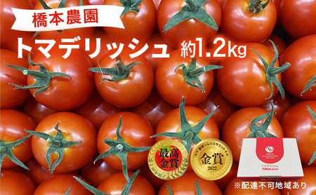  フルーツ トマト ［2027年先行予約］ トマデリッシュ 約1.2kg 橋本農園 岡山 野菜 高糖度 旨味 弾力 果実 甘い サラダ そのまま 岡山県産 緑黄色野菜 
