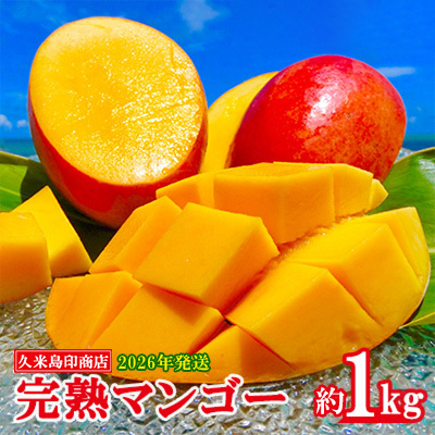 マンゴー[2026年発送]久米島印商店 完熟マンゴー 約1kg フルーツ 果物