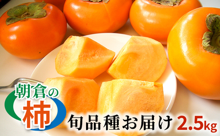 柿 朝倉の柿はじめました。季節の朝倉の柿 約2.5kg 8-10玉 配送不可 離島 果物 フルーツ 秋の味覚 旬 デザート 果実 おやつ 美味しい品種 厳選 お届け