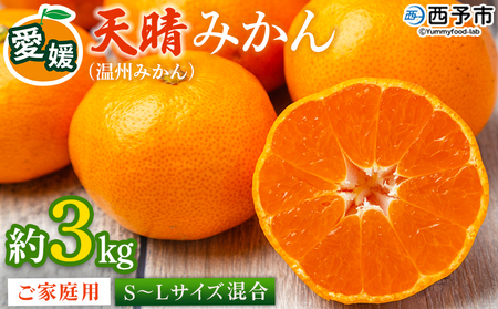 [愛媛県明浜産 天晴みかん(温州みかん)約3kg S〜L混合] 家庭用 訳あり ワケアリ 果物 くだもの フルーツ ミカン 柑橘 特産品 笑丸 愛媛県 西予市[常温]『2026年11月中旬〜2027年1月上旬迄に順次出荷予定』AAN0006