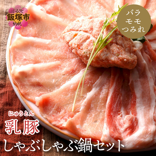 乳豚 しゃぶしゃぶ鍋Bセット(バラ・モモ・つみれ)【A5-405】