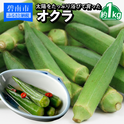 [2026年発送]太陽をたっぷり浴びて育った オクラ1kg