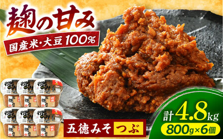 五徳みそ 粒 800g×6個セット  計4.8kg 国内産米・大豆100％使用[A-04001502] [BFAY001]