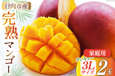 【マンゴー】 マンゴー フルーツ 完熟マンゴー 3L 2玉 【2027年夏発送】