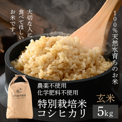 [先行予約][令和8年産 新米]伊与衛門農園のコシヒカリ 玄米 5kg 特別栽培米 化学肥料不使用 [温度と湿度を常時管理し新鮮米を出荷!]/ 高品質 鮮度抜群 福井県あわら産 ブランド お米 ※2026年9月下旬より順次発送予定 [aw071-a008]