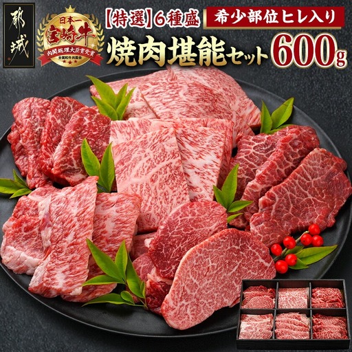 ≪希少部位ヒレ入り！≫ 宮崎牛【特選】6種盛 焼肉堪能セット 600g〔24-6502〕_(都城市) 宮崎県産宮崎牛 焼肉6種盛 各100g ロース 肩ロース ヒレ ウデ バラ モモ 秋特集