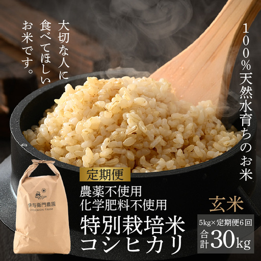 [先行予約][令和8年産 新米][定期便6回]伊与衛門農園のコシヒカリ 玄米 5kg (計30kg)特別栽培米 化学肥料不使用 [温度と湿度を常時管理し新鮮米を出荷!]/ 高品質 鮮度抜群 福井県あわら産 ブランド お米 ※ 2026年10月上旬以降順次発送 [aw071-i004]
