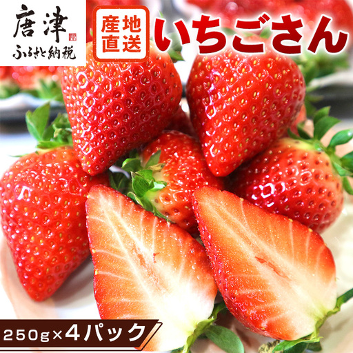 『先行予約』【令和9年3月より順次発送】唐津産 いちごさん 約250g×4パック(合計約1kg) 