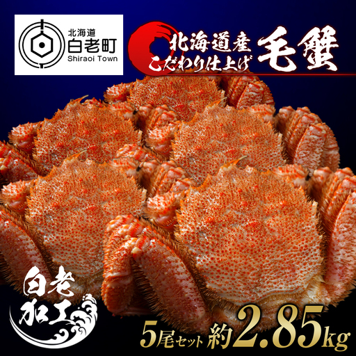 毛蟹 ボイル済み 冷凍 5尾セット 約2.85kg BM298
