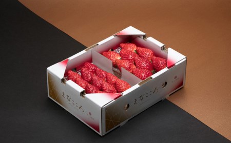 【先行予約】いちご とちおとめ 260g×2P 苺 とちおとめ＼ 期間限定 特別寄附額 ／