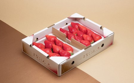 【先行予約】いちご とちおとめ 楓 280g×2P 苺 とちおとめ