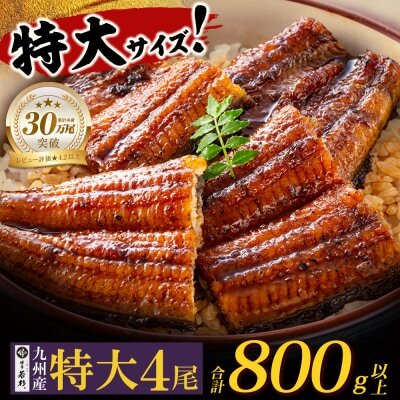 Z61-74 国産 うなぎ 蒲焼特大サイズ4尾（計800g以上） うなぎ