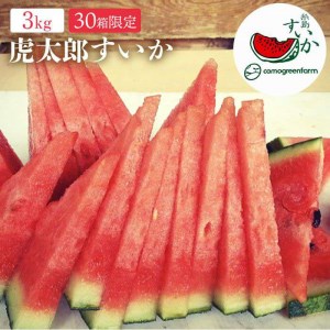【限定40】皮までうまか！糸島産ハウス栽培こたろうスイカ[AIC002]