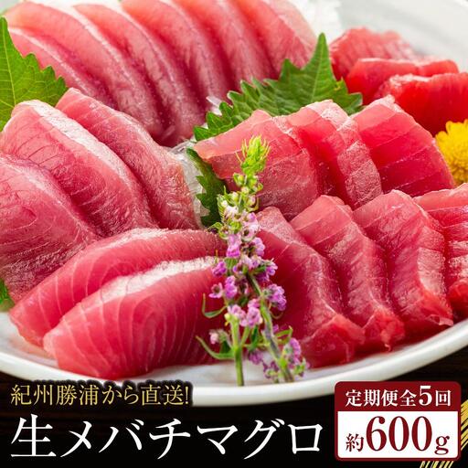 【定期便全5回】生まぐろの本場紀州勝浦から直送！　生メバチマグロ 約600g（1カ月に1回お届け）（全5ヵ月）