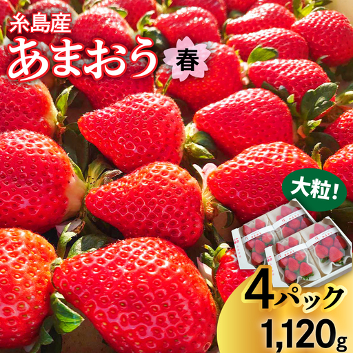【農家直送！】【先行受付】糸島産 春 あまおう 280g × 4パック  (DXまたはGサイズ)   【2027年1月下旬以降順次発送】糸島市 / 後藤農園 [AML002] いちご 福岡