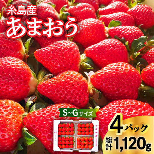 [農家直送!][先行受付] 糸島産 あまおう 280g × 4パック (Sサイズ〜Gサイズ) [2027年1月上旬以降順次発送]糸島市 / 後藤農園 [AML003] いちご 福岡 ランキング 上位 人気 おすすめ
