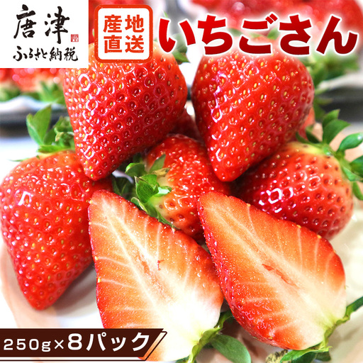 『先行予約』【令和9年3月より順次発送】唐津産 いちごさん 約250g×8パック(合計約2kg)