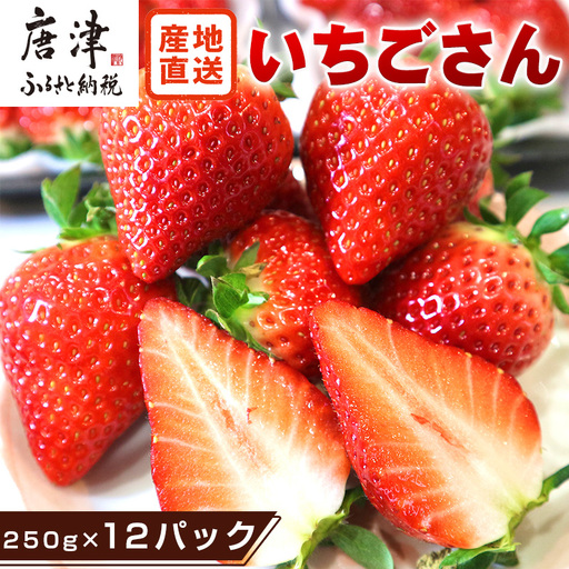 『先行予約』【令和9年3月より順次発送】唐津産 いちごさん 約250g×12パック(合計約3kg)