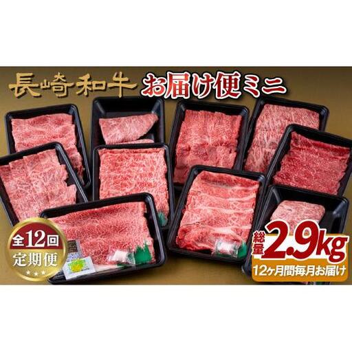 《定期便》長崎和牛お届け便ミニ(12回)