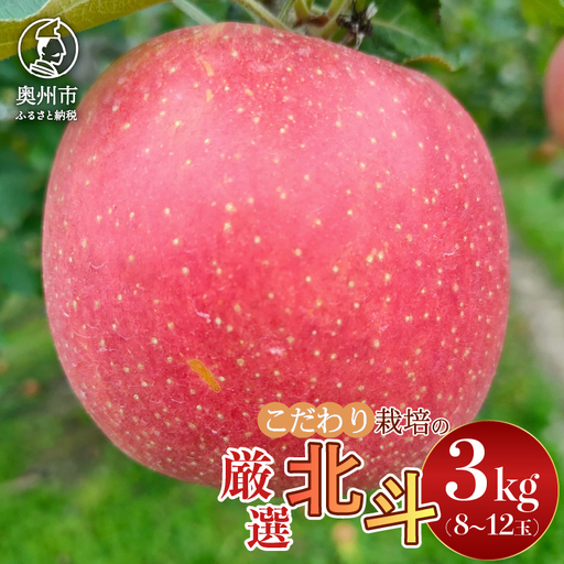 [スターファーム] こだわり栽培の 北斗 厳選品 約3kg 岩手県奥州市産りんご 産地直送 冷蔵 [AY007]
