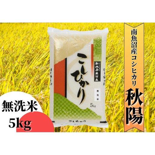 【令和8年産 新米予約】南魚沼産コシヒカリ「秋陽」（無洗米5kg）新潟県の特A地区南魚沼市の美味しいお米【銘柄米 ブランド米 無洗米 こしひかり コシヒカリ 魚沼産 新潟米 産地直送 お米】【2026年10月上旬より1ヶ月以内に順次発送予定】