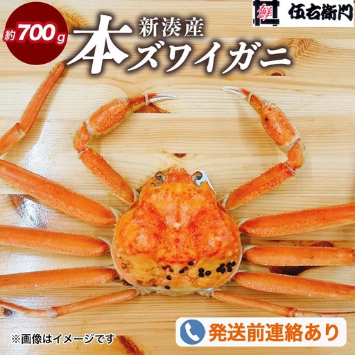 【伍右衛門】新湊産本ズワイガニ約700g｜海の幸 海鮮 お祝い  集まり メニュー 冬の味覚 茹でたて 新鮮 国産 富山県産 ※2026年11月～発送 ※発送まで1か月以上かかる場合があります。